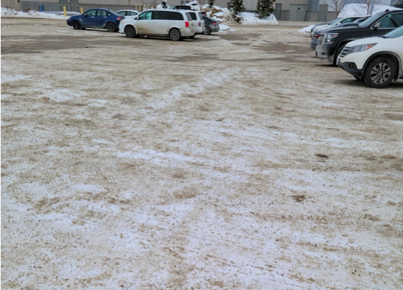 Screen Shot 2022-03-16 at 7.49.32 PM